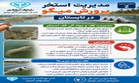  مدیریت استخر پرورش میگو در تابستان 